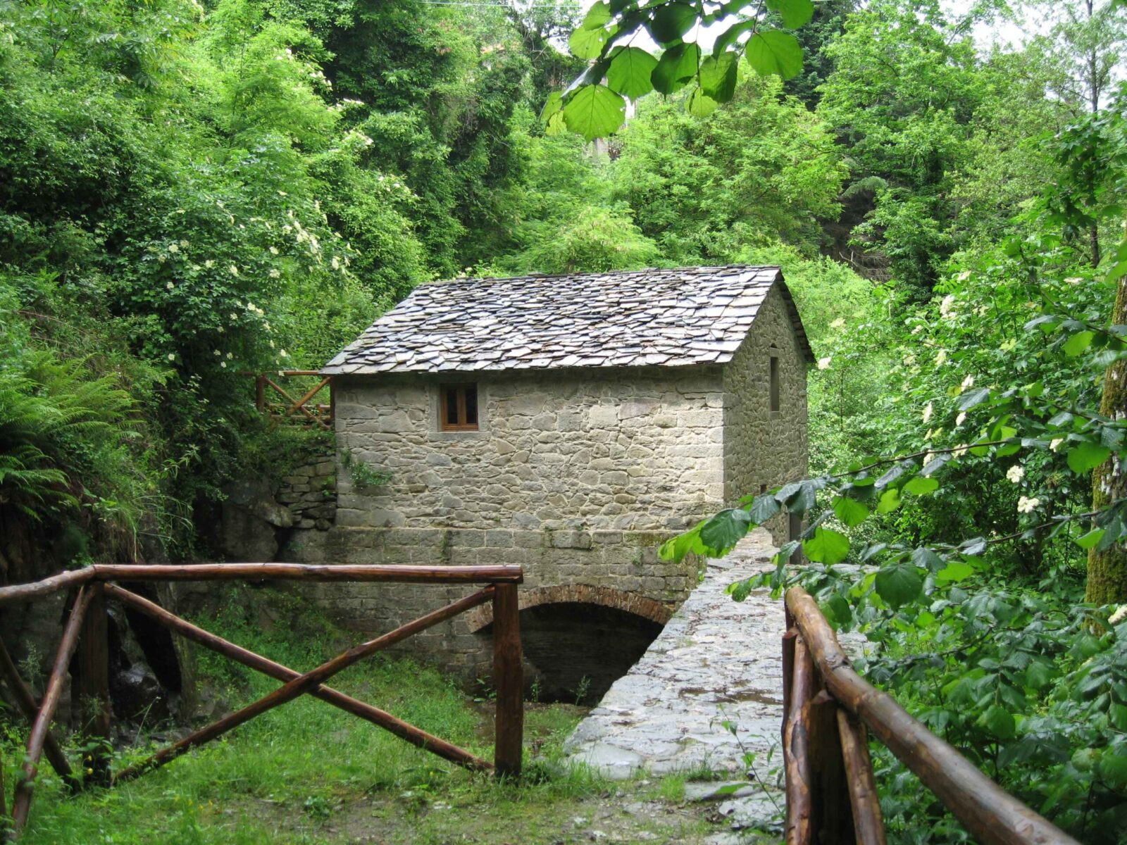 pubblicazioni Ecomuseo del Casentino,materiali editoriali Casentino,documenti Ecomuseo Casentino,libri e quaderni Casentino,atti convegni Casentino,guide e opuscoli Ecomuseo,quaderni didattici Casentino,pubblicazioni culturali Casentino,studi e ricerche Casentino,materiali divulgativi museo diffuso