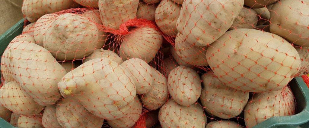 Prodotti Agro-Alimentari