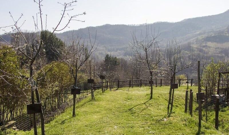 contatti Ecomuseo del Casentino,sede Ecomuseo del Casentino Poppi,museo diffuso Casentino contatti,informazioni Ecomuseo Casentino,orari e sede Ecomuseo del Casentino,Ecomuseo Casentino Toscana,indirizzo Ecomuseo del Casentino,telefono e mail Ecomuseo Casentino,come arrivare Ecomuseo Casentino,Unione dei Comuni Montani del Casentino