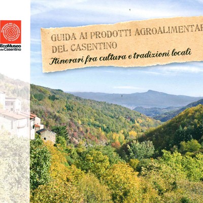 libri Ecomuseo del Casentino,cataloghi Ecomuseo del Casentino,pubblicazioni Casentino,materiali editoriali museo diffuso,libri sulle tradizioni del Casentino,cataloghi mostre Casentino,collane editoriali Ecomuseo,testi su memoria e cultura Casentino,pubblicazioni didattiche Casentino,documentazione culturale Casentino