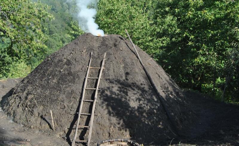 contatti Ecomuseo del Casentino,sede Ecomuseo del Casentino Poppi,museo diffuso Casentino contatti,informazioni Ecomuseo Casentino,orari e sede Ecomuseo del Casentino,Ecomuseo Casentino Toscana,indirizzo Ecomuseo del Casentino,telefono e mail Ecomuseo Casentino,come arrivare Ecomuseo Casentino,Unione dei Comuni Montani del Casentino