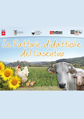 quaderni didattici Ecomuseo del Casentino,materiali didattici Casentino,didattica museale Casentino,risorse educative Ecomuseo,attività per scuole Casentino,strumenti didattici memoria e tradizioni,quaderni educativi per bambini Casentino,percorsi didattici Ecomuseo,materiali per insegnanti Casentino,educazione ambientale e culturale Casentino