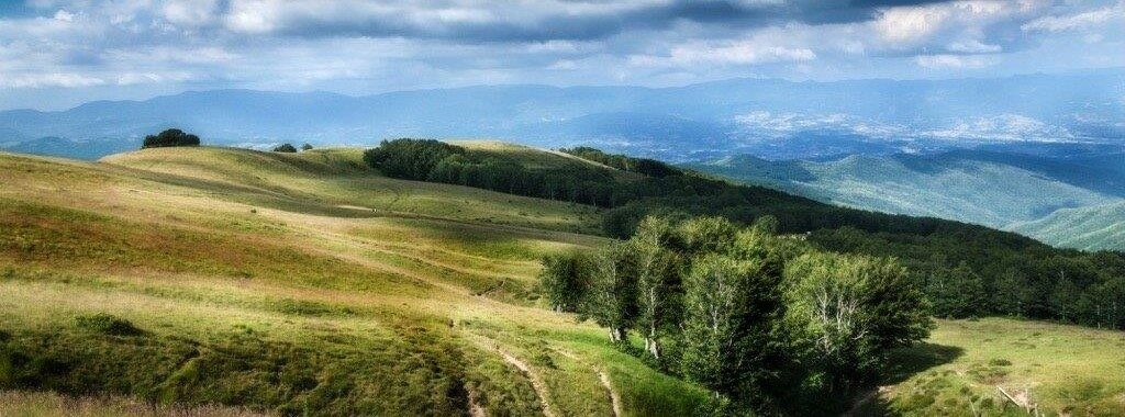 PRATOMAGNO